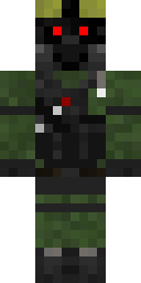 2D skin preview