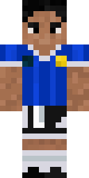 2D skin preview
