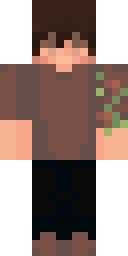 2D skin preview