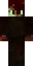 2D skin preview
