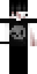 2D skin preview