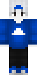 2D skin preview