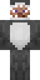 2D skin preview