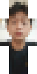 2D skin preview
