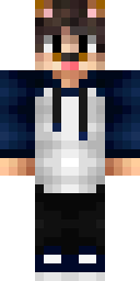 2D skin preview