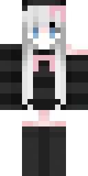 2D skin preview