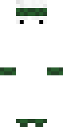 2D skin preview